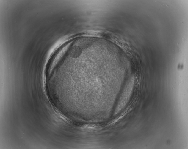 X0000098230294200805081229