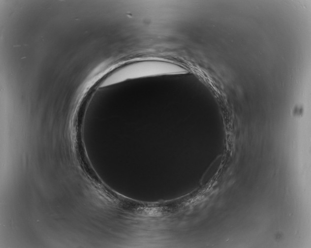 X0000098230295200805081229