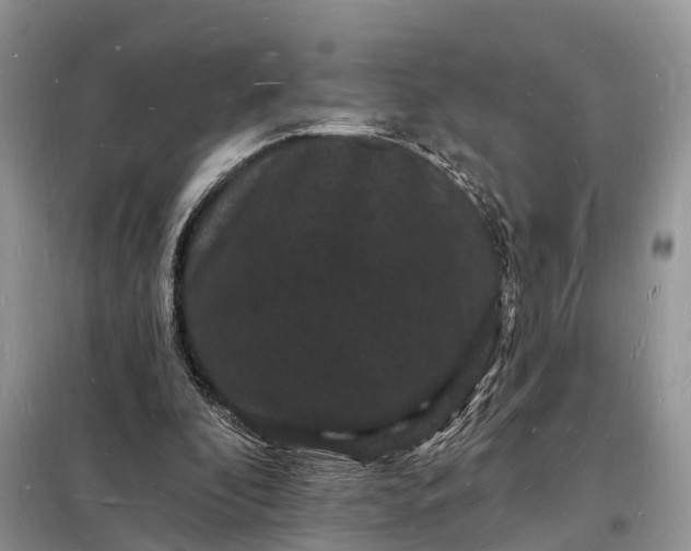 X0000098230296200805081229