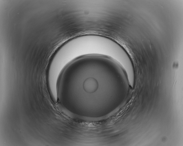 X0000098230297200805081229