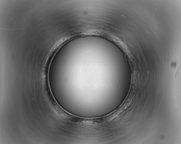 X0000098230298200805081229