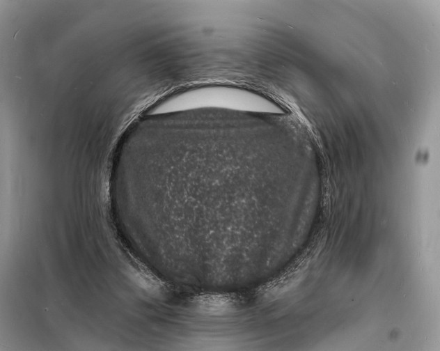 X0000098230299200805081229