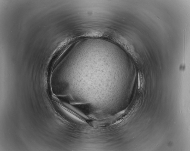 X0000098230300200805081229