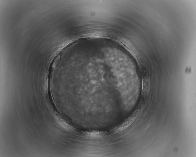 X0000098230301200805081229