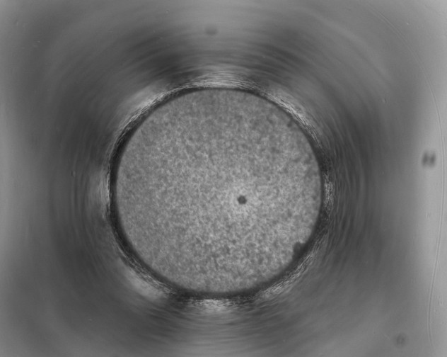 X0000098230302200805081228