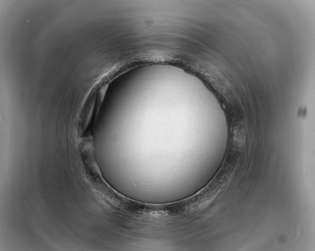 X0000098230304200805081228