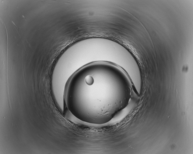 X0000098230305200805081228