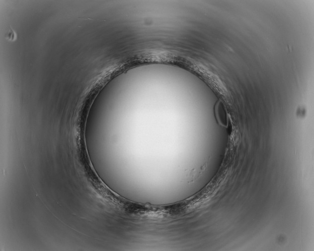 X0000098230306200805081228