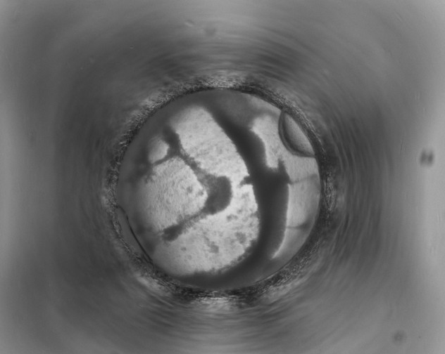 X0000098230307200805081228