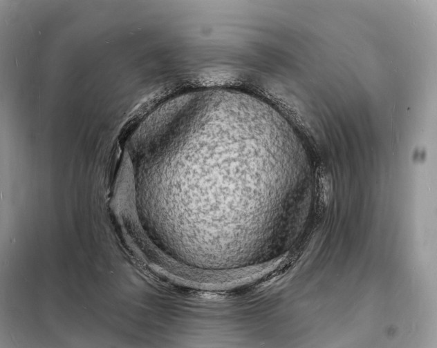 X0000098230308200805081228