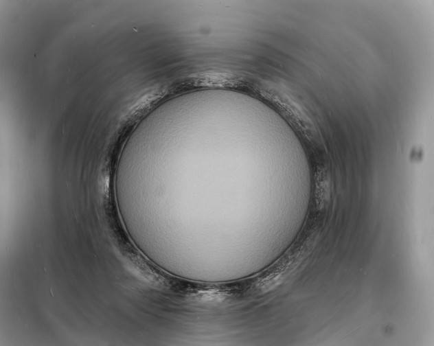 X0000098230310200805081228