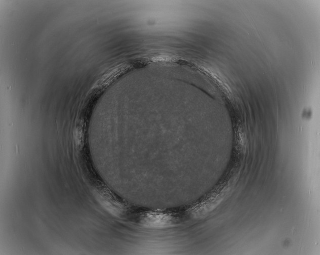 X0000098230311200805081228