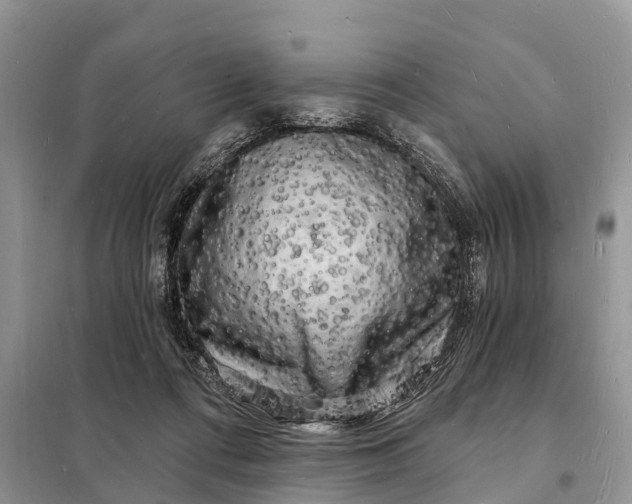 X0000098230312200805081228