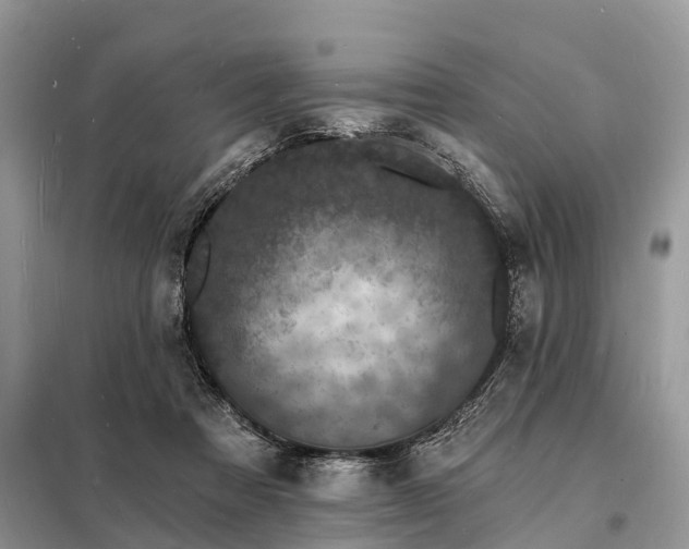 X0000098230313200805081228