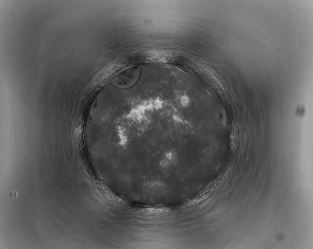 X0000098230314200805081228