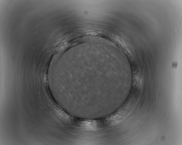 X0000098230317200805081228