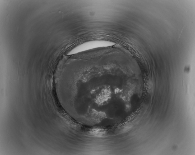 X0000098230319200805081228