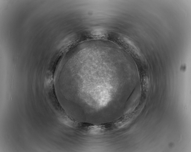 X0000098230320200805081228