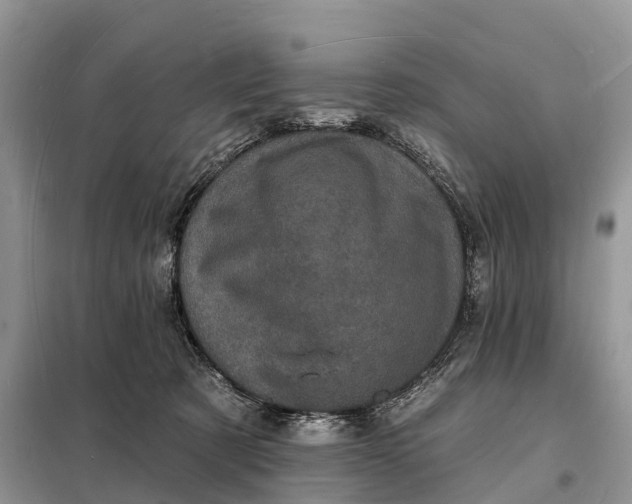 X0000098230321200805081228