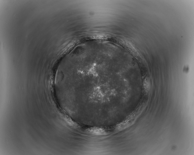 X0000098230322200805081228