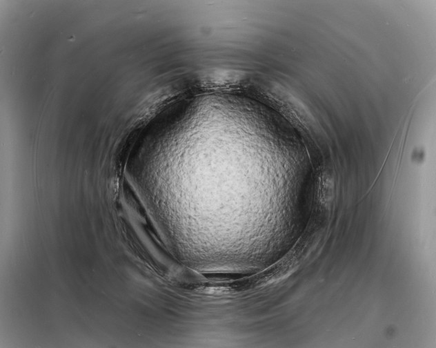 X0000098230324200805081228