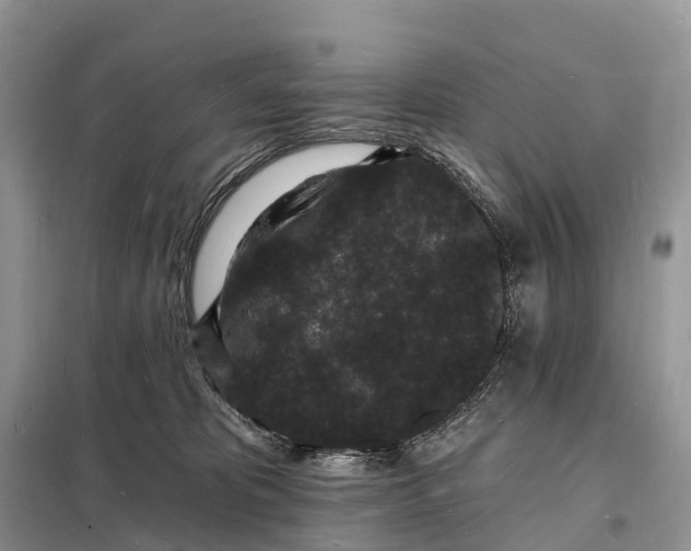 X0000098230325200805081228