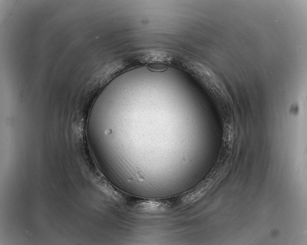 X0000098230326200805081228