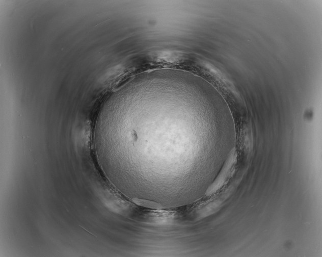 X0000098230328200805081228