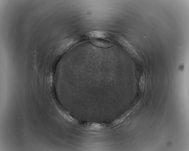 X0000098230330200805081228