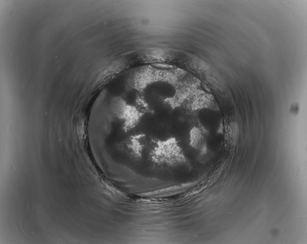 X0000098230331200805081228