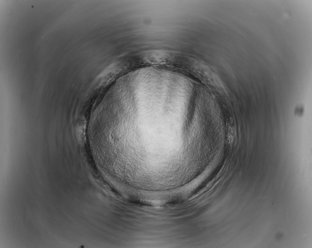 X0000098230332200805081228