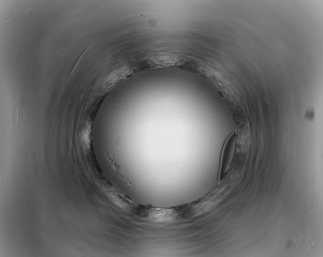 X0000098230334200805081228