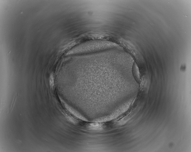 X0000098230335200805081228