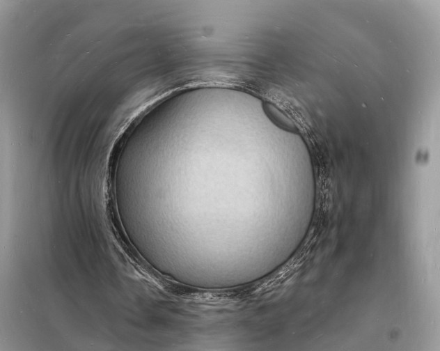 X0000098230338200805081227