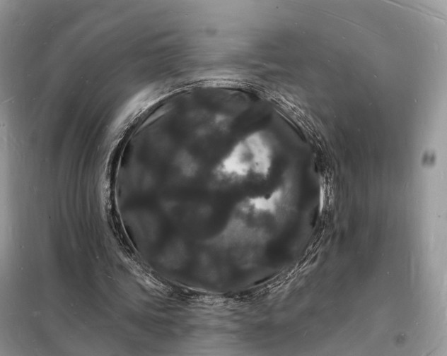 X0000098230339200805081227