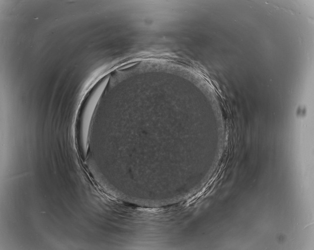 X0000098230340200805081227