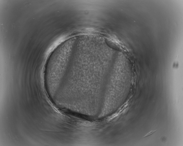 X0000098230341200805081227