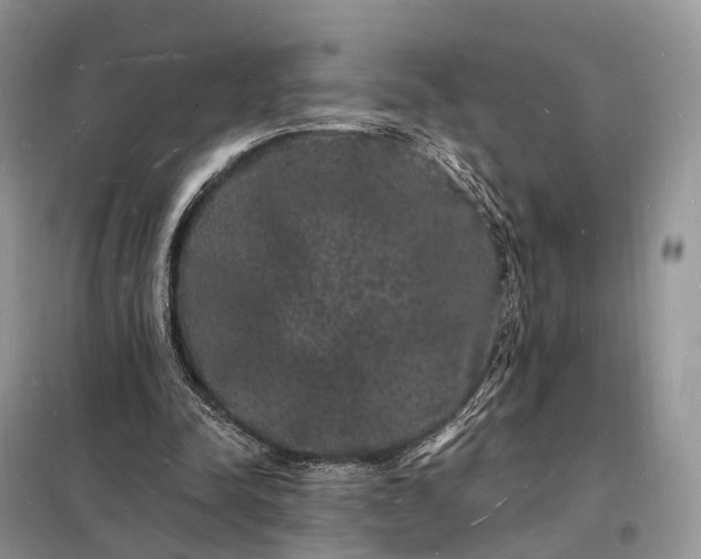 X0000098230342200805081227