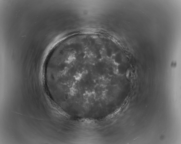 X0000098230343200805081227