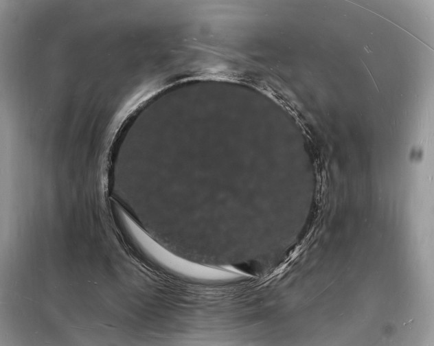 X0000098230344200805081227