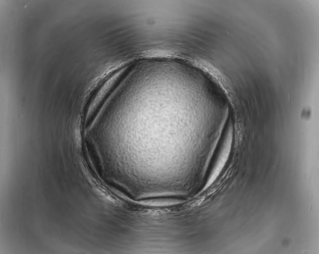 X0000098230345200805081227