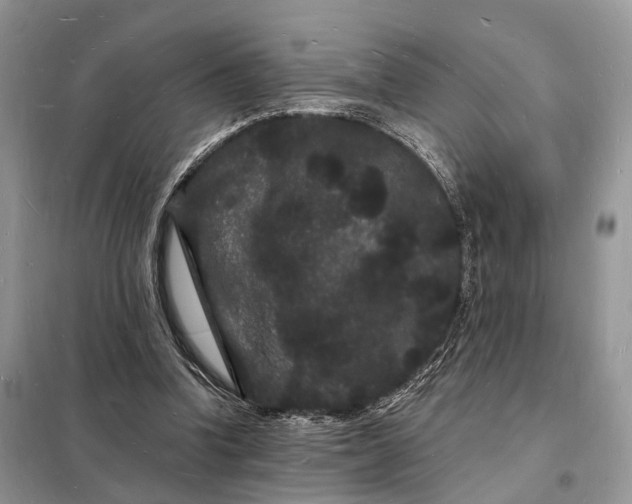 X0000098230346200805081227