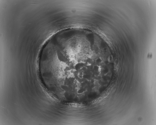 X0000098230347200805081227