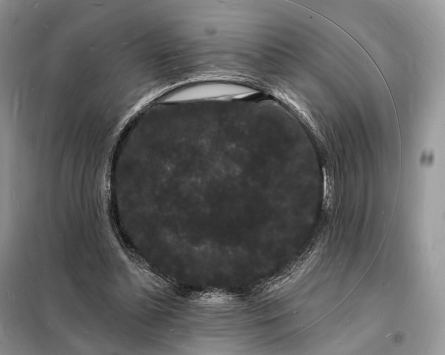 X0000098230348200805081227