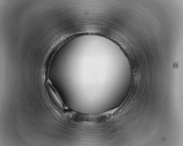 X0000098230350200805081227