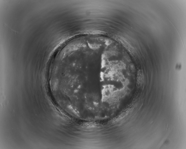 X0000098230351200805081227