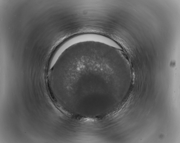 X0000098230352200805081227