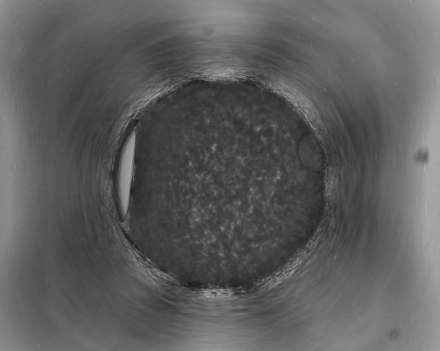 X0000098230353200805081227