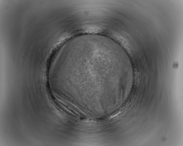 X0000098230354200805081227