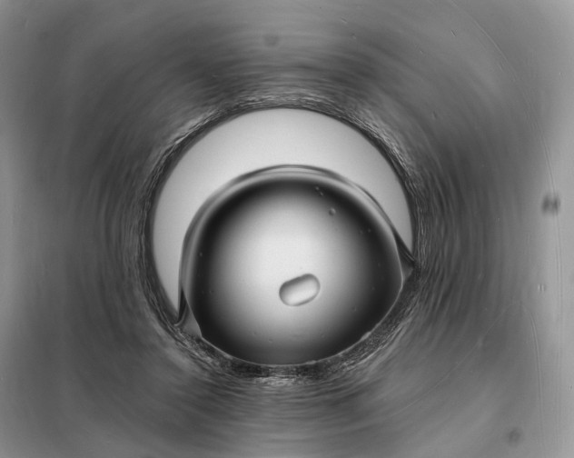 X0000098230356200805081227